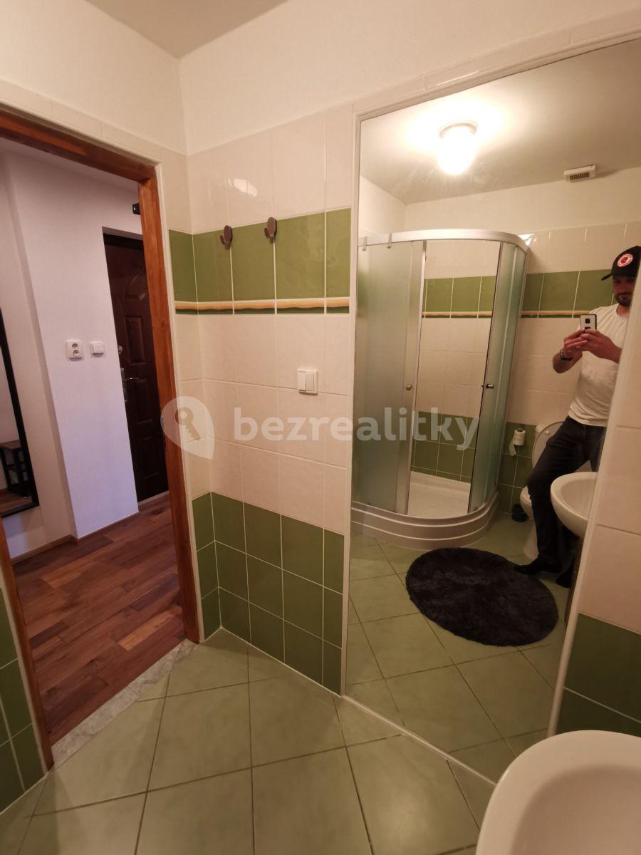 Predaj bytu 1-izbový 26 m², Janův Důl, Liberecký kraj