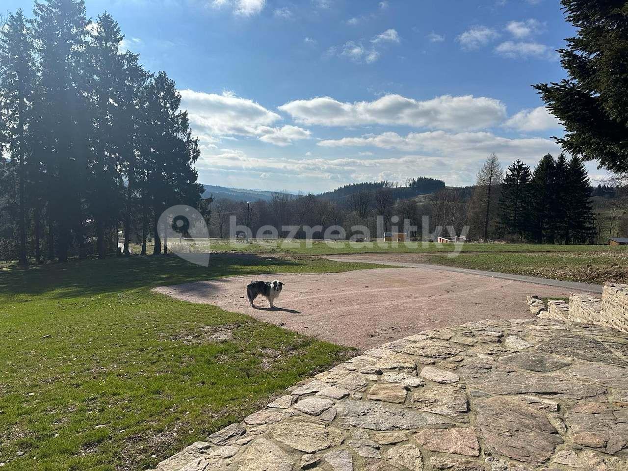 Prenájom rekreačného objektu, Říčky v Orlických horách, Královéhradecký kraj