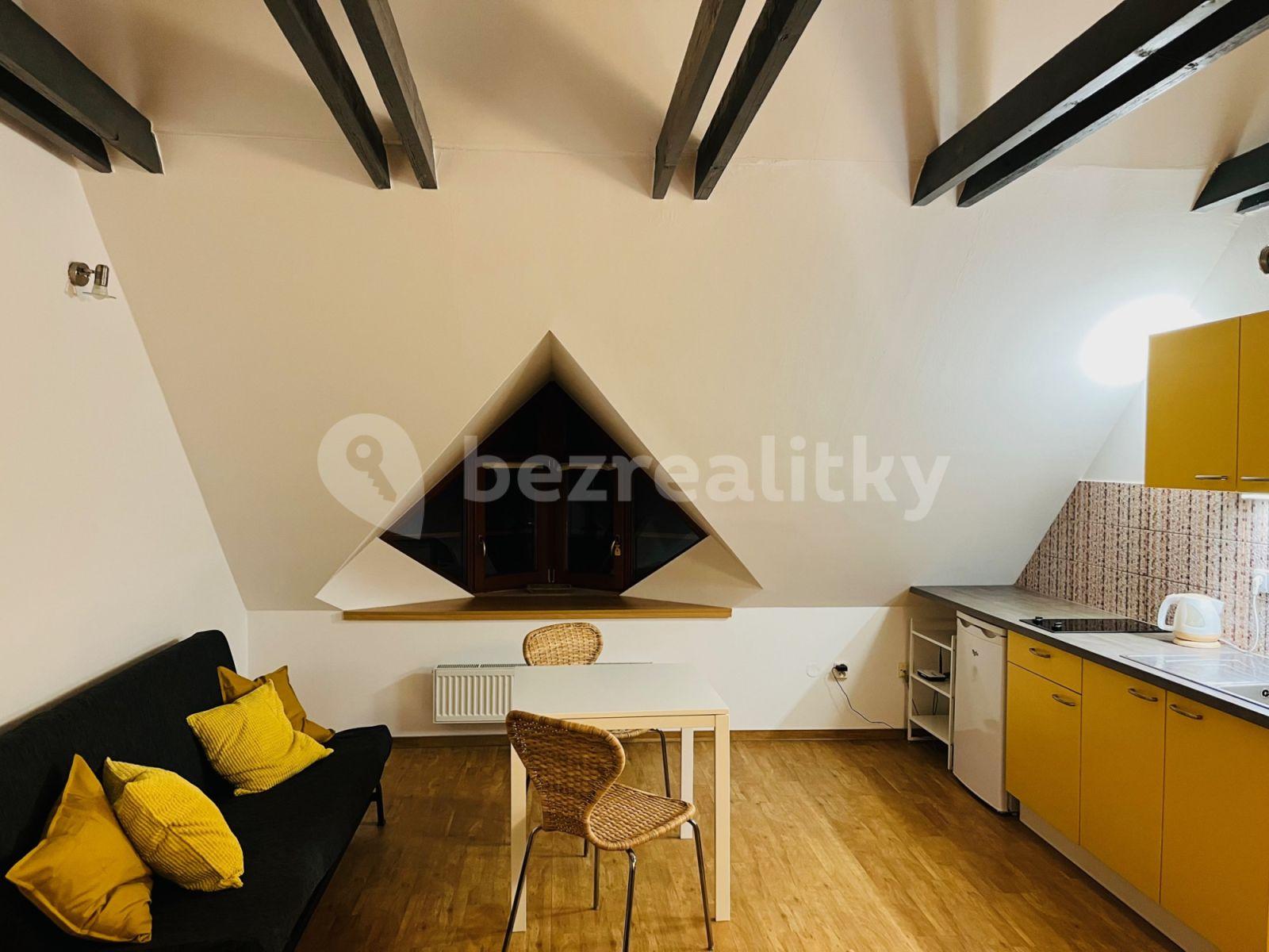 Prenájom bytu 1-izbový 32 m², Červený kopec A, Brno, Jihomoravský kraj