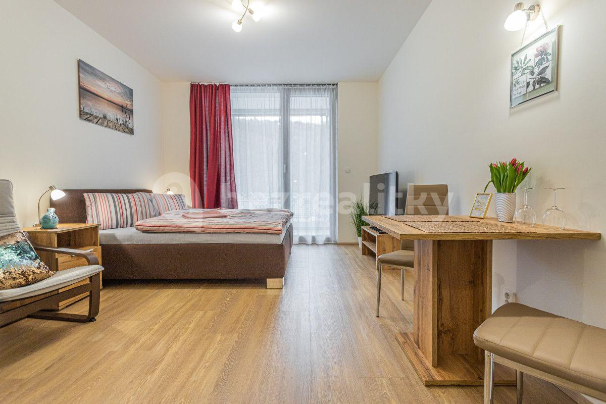 Prenájom bytu 1-izbový 35 m², Hlaváčkova, Praha, Praha