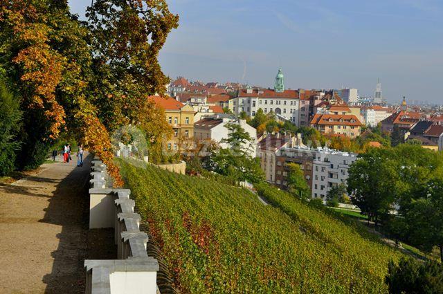 Prenájom bytu 2-izbový 60 m², Lublaňská, Praha, Praha