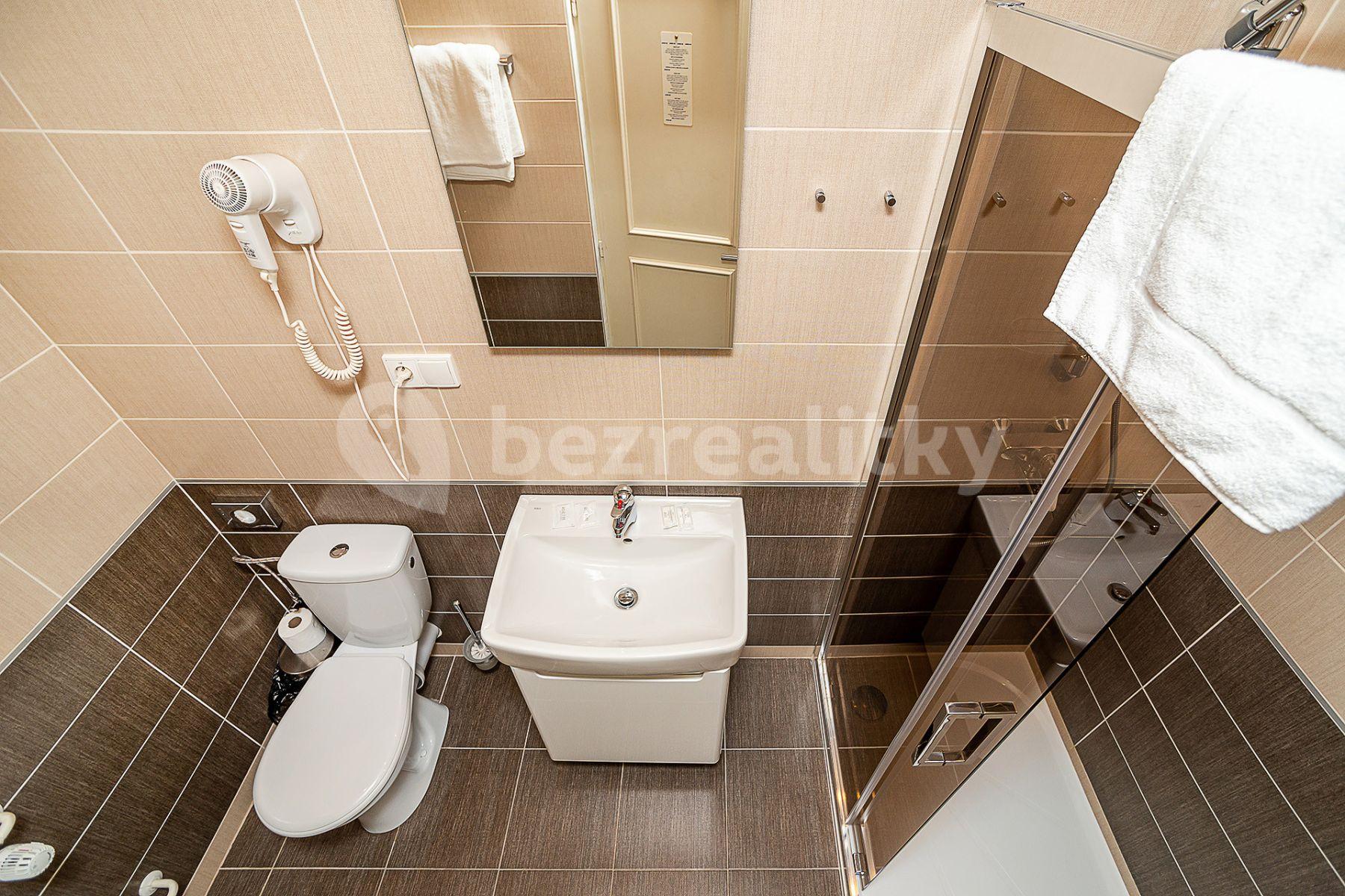 Prenájom bytu 1-izbový 27 m², Americká, Praha, Praha