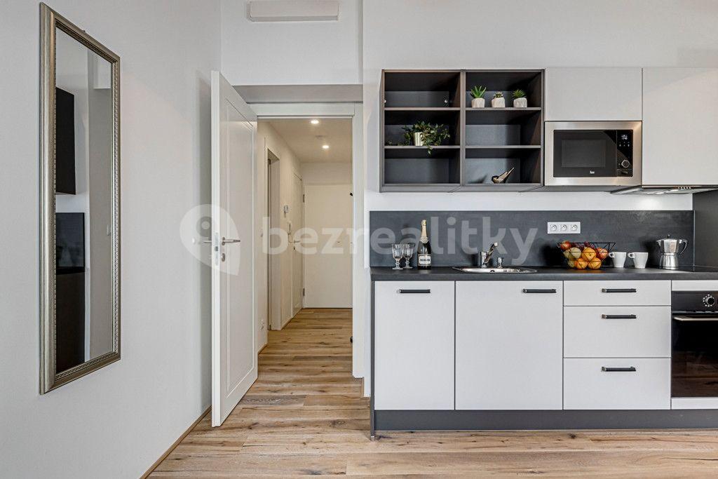 Prenájom bytu 1-izbový 34 m², Kaizlovy sady, Praha, Praha