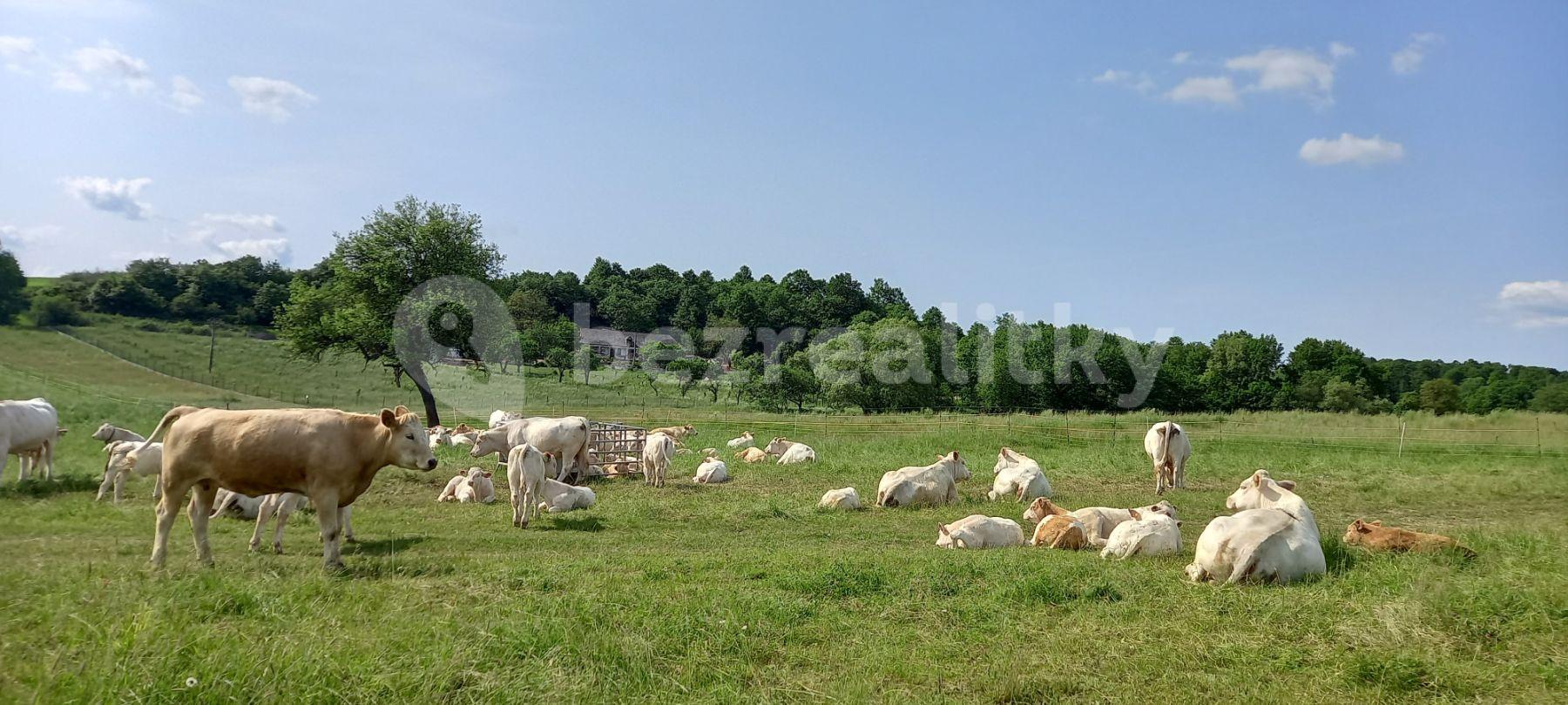 Prenájom bytu 3-izbový 75 m², Mezník, Litava, Banskobystrický kraj