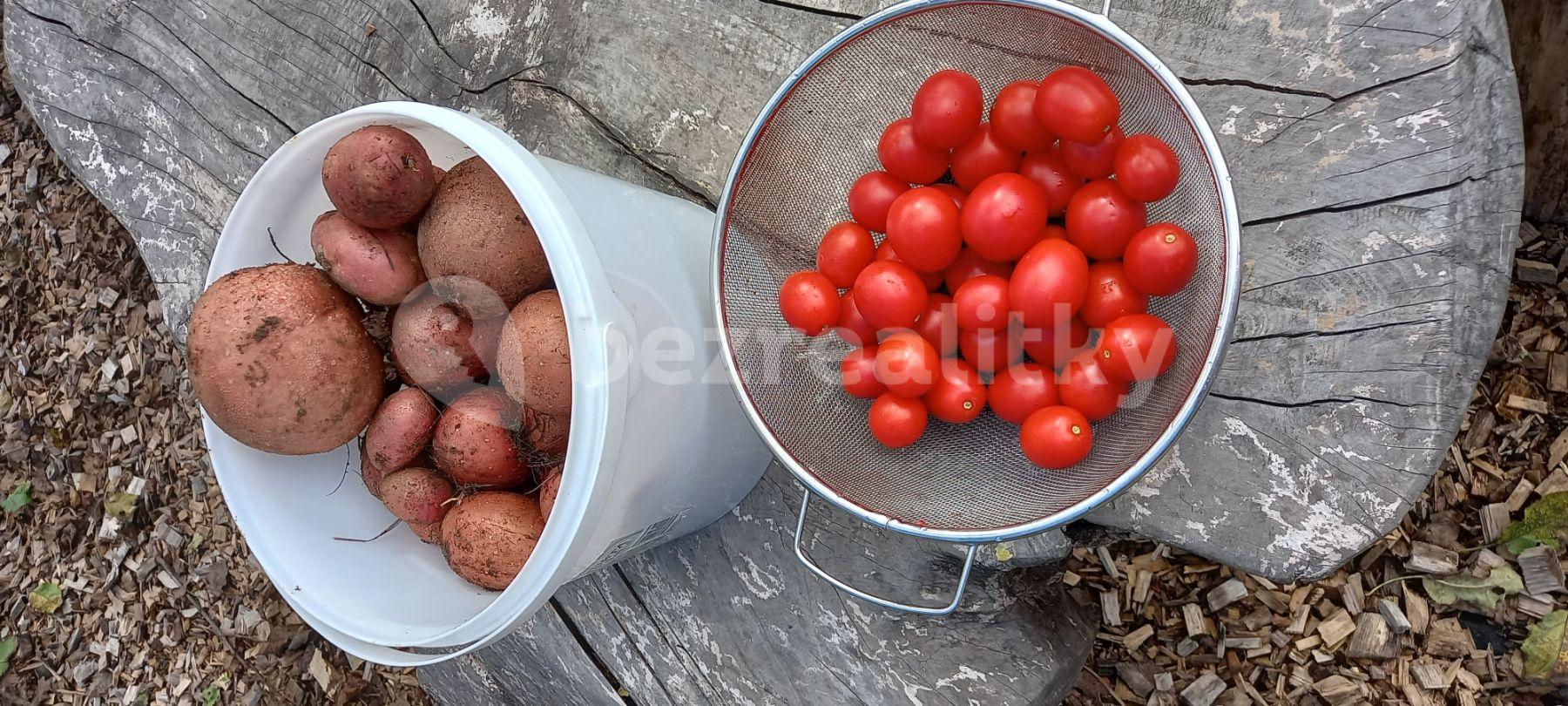 Prenájom bytu 3-izbový 75 m², Mezník, Litava, Banskobystrický kraj