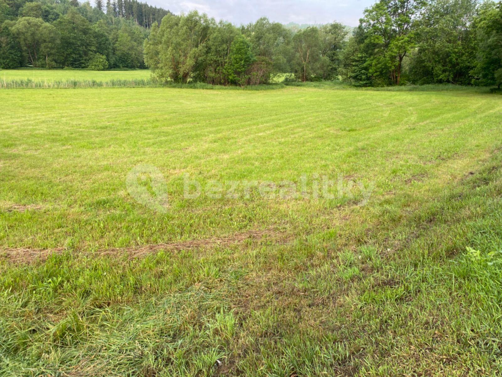 Predaj pozemku 4.245 m², Slaná, Liberecký kraj