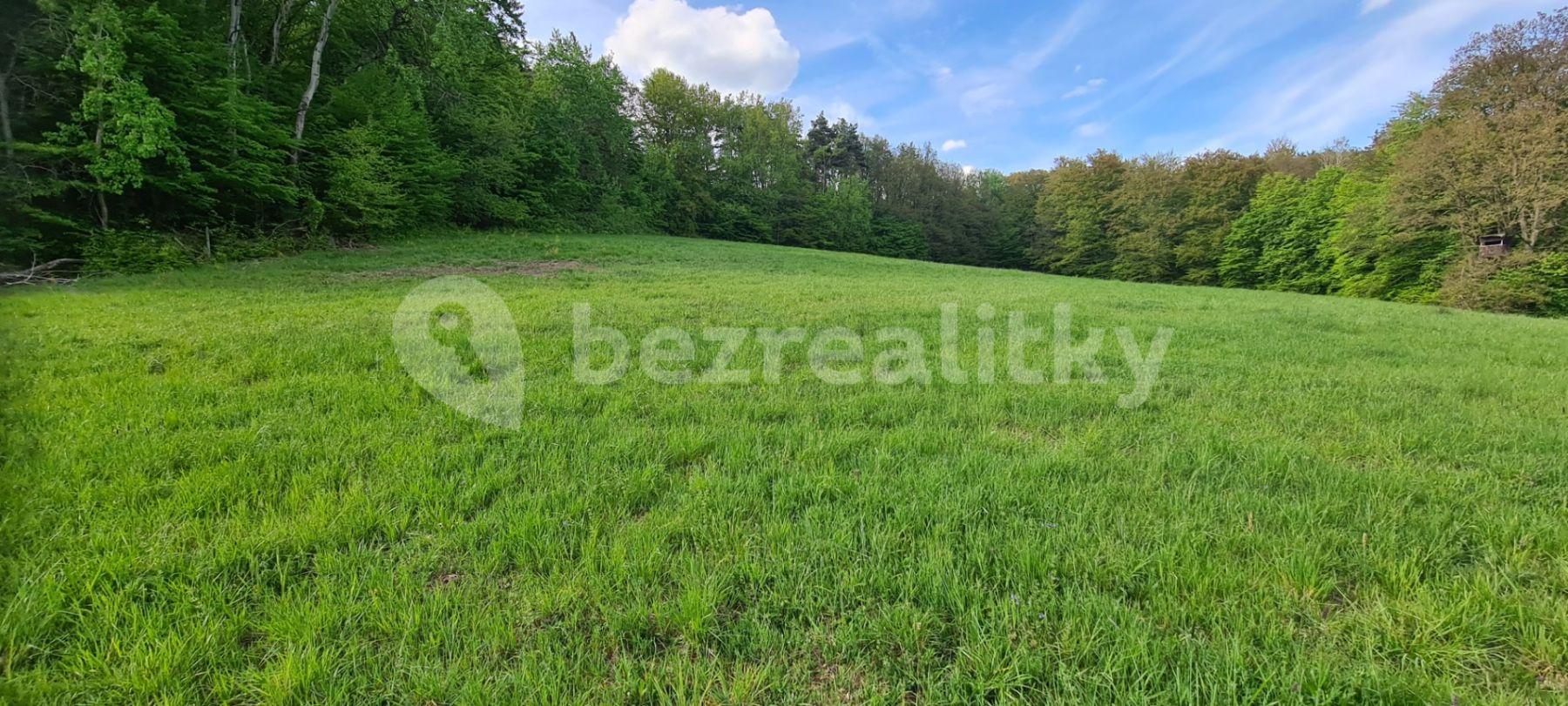 Predaj pozemku 12.000 m², Stříbrná Skalice, Středočeský kraj