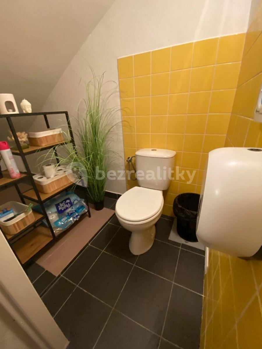 Prenájom nebytového priestoru 95 m², Spytihněvova, Praha, Praha