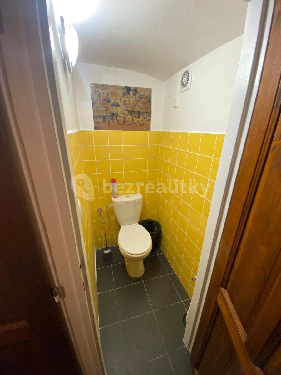 Prenájom nebytového priestoru 95 m², Spytihněvova, Praha, Praha