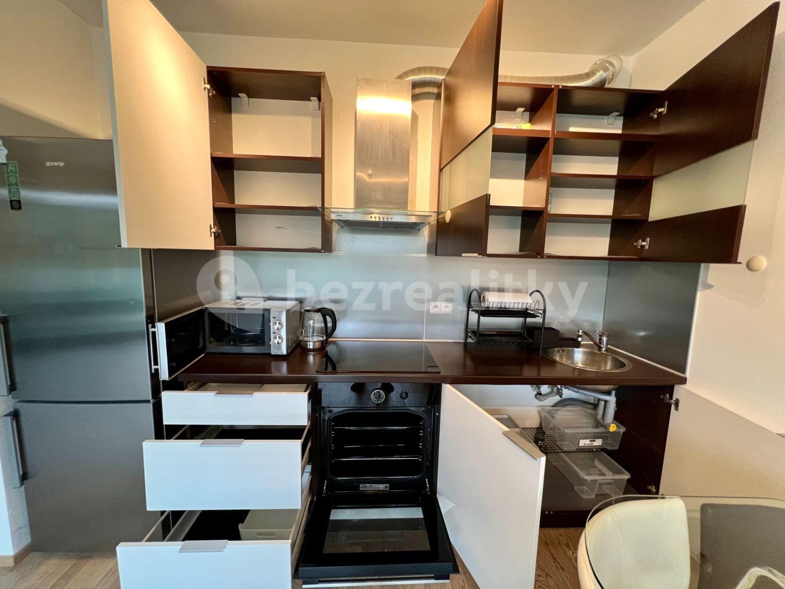 Prenájom bytu 1-izbový 36 m², Praha, Praha