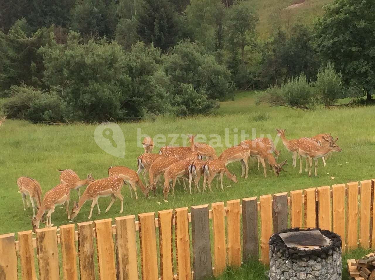 Prenájom rekreačného objektu, Mosty u Jablunkova, Moravskoslezský kraj