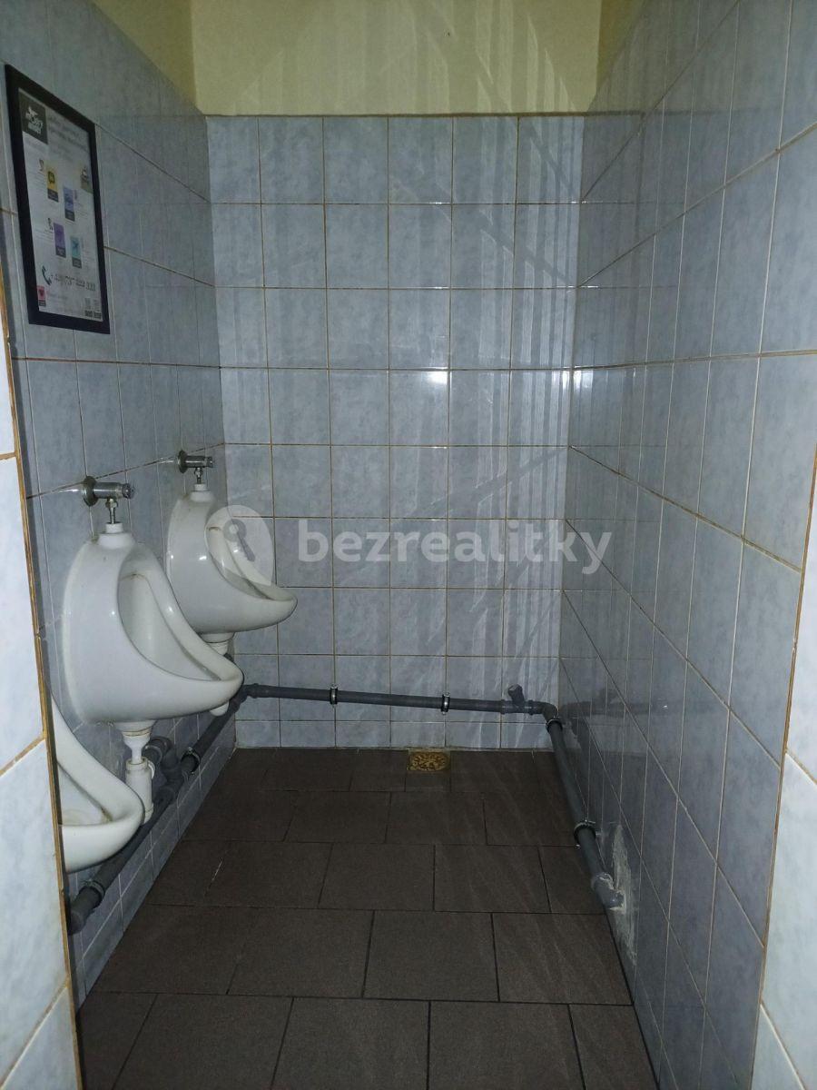 Prenájom nebytového priestoru 170 m², Žerotínova, Praha, Praha