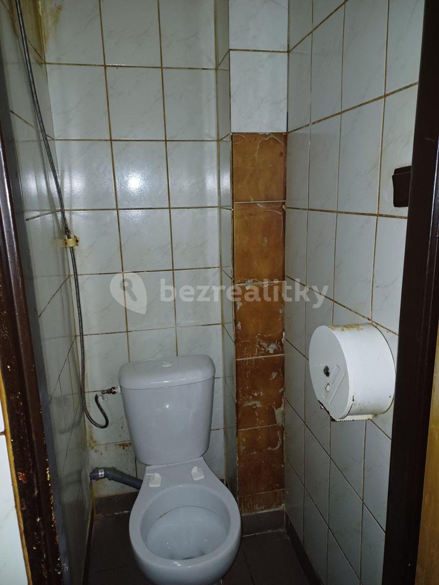 Prenájom nebytového priestoru 170 m², Žerotínova, Praha, Praha