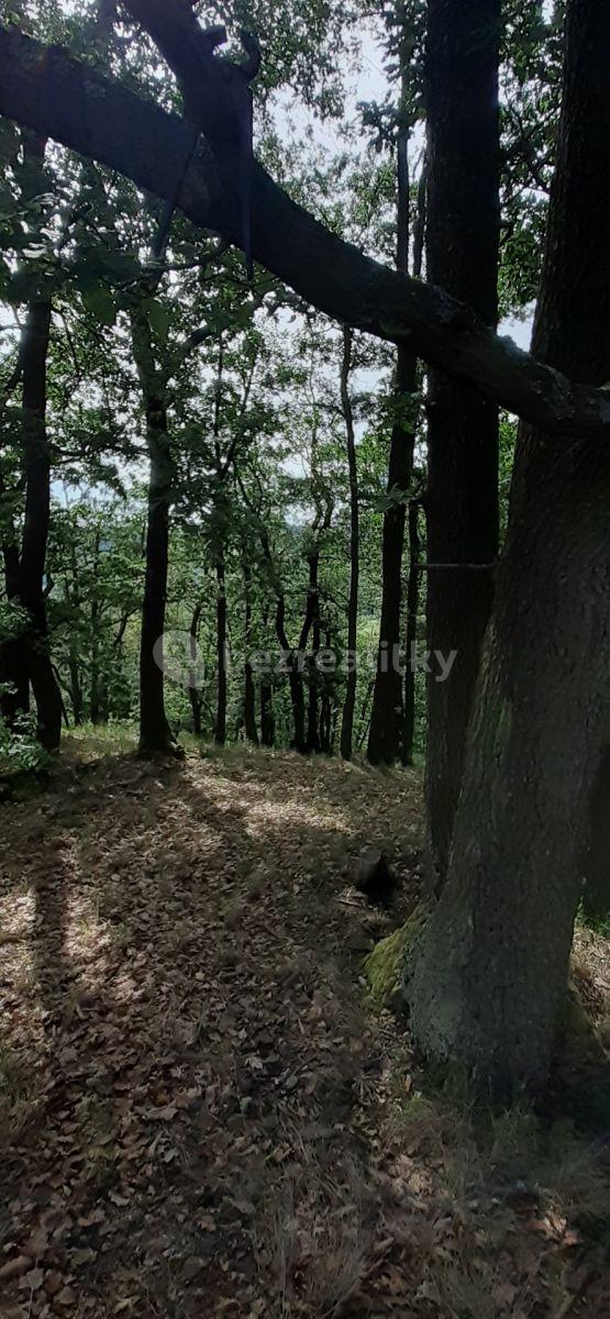 Predaj pozemku 8.759 m², Vráž, Středočeský kraj