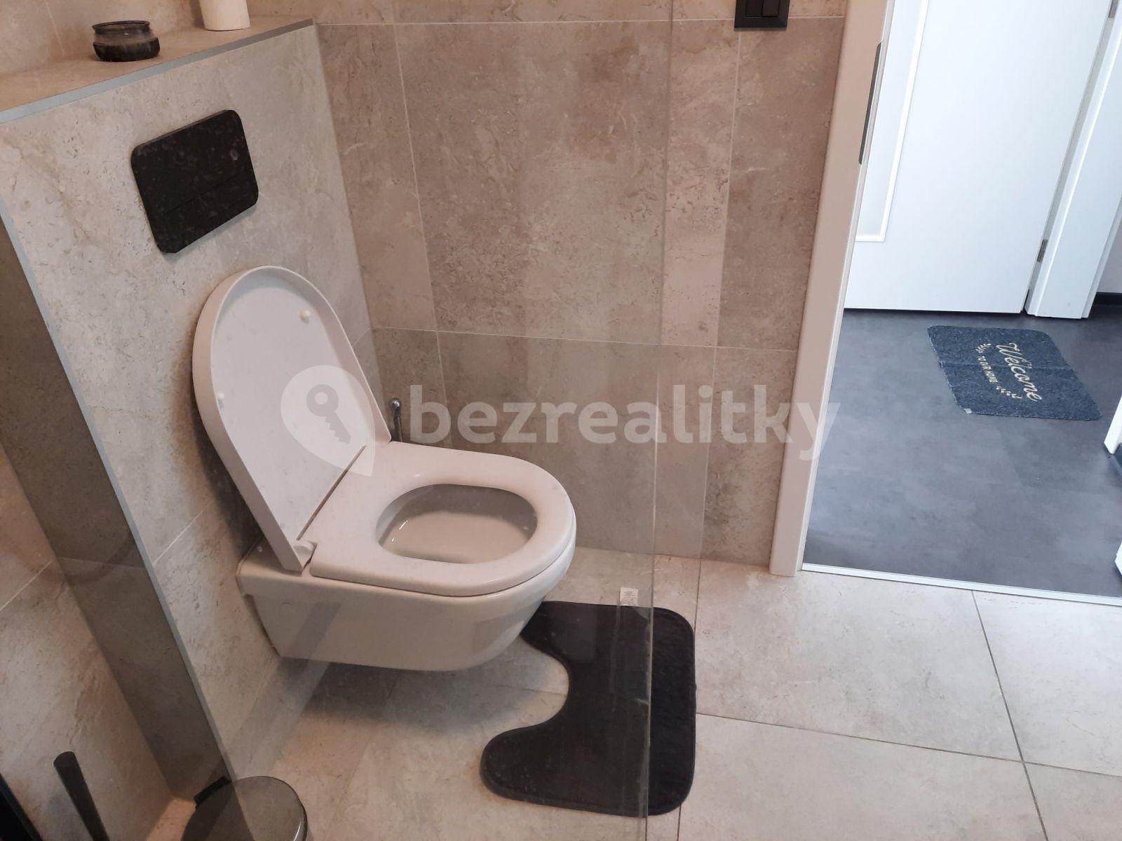 Prenájom bytu 1-izbový 42 m², Jánská, Brno, Jihomoravský kraj