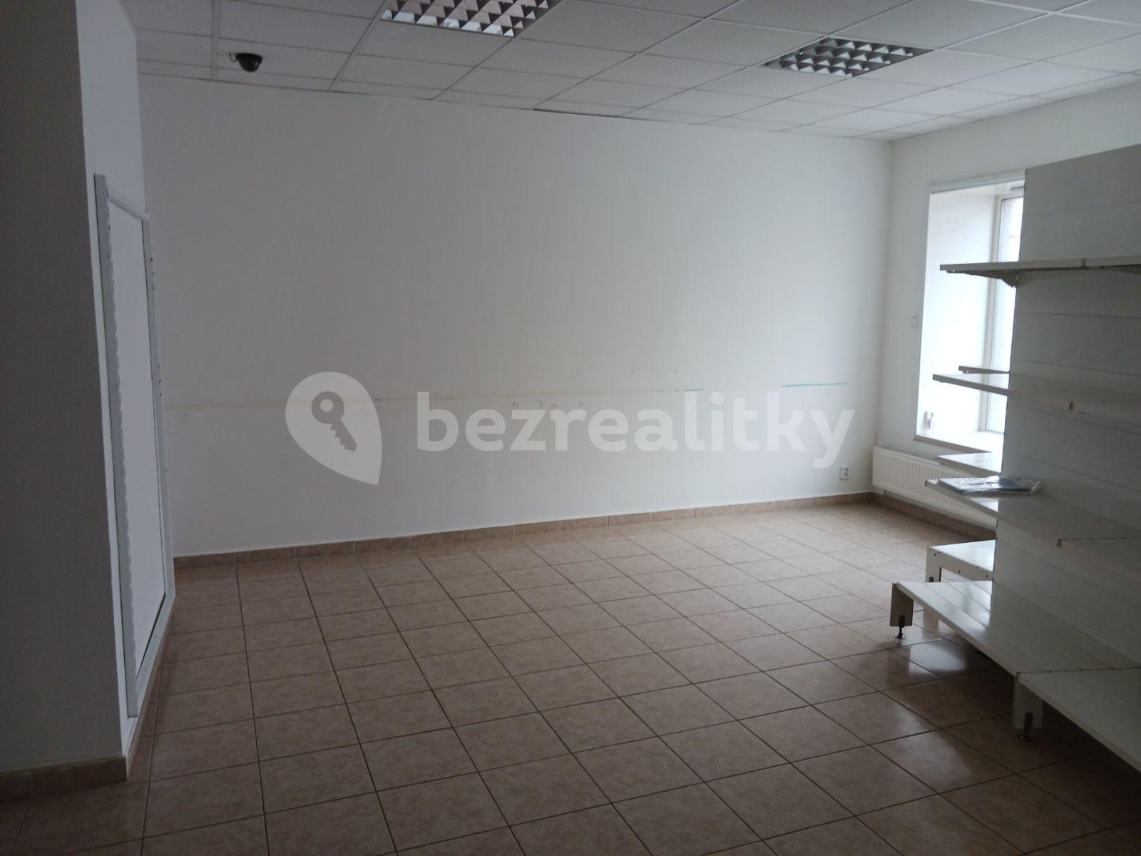 Prenájom nebytového priestoru 125 m², Bohosudovská, Krupka, Ústecký kraj