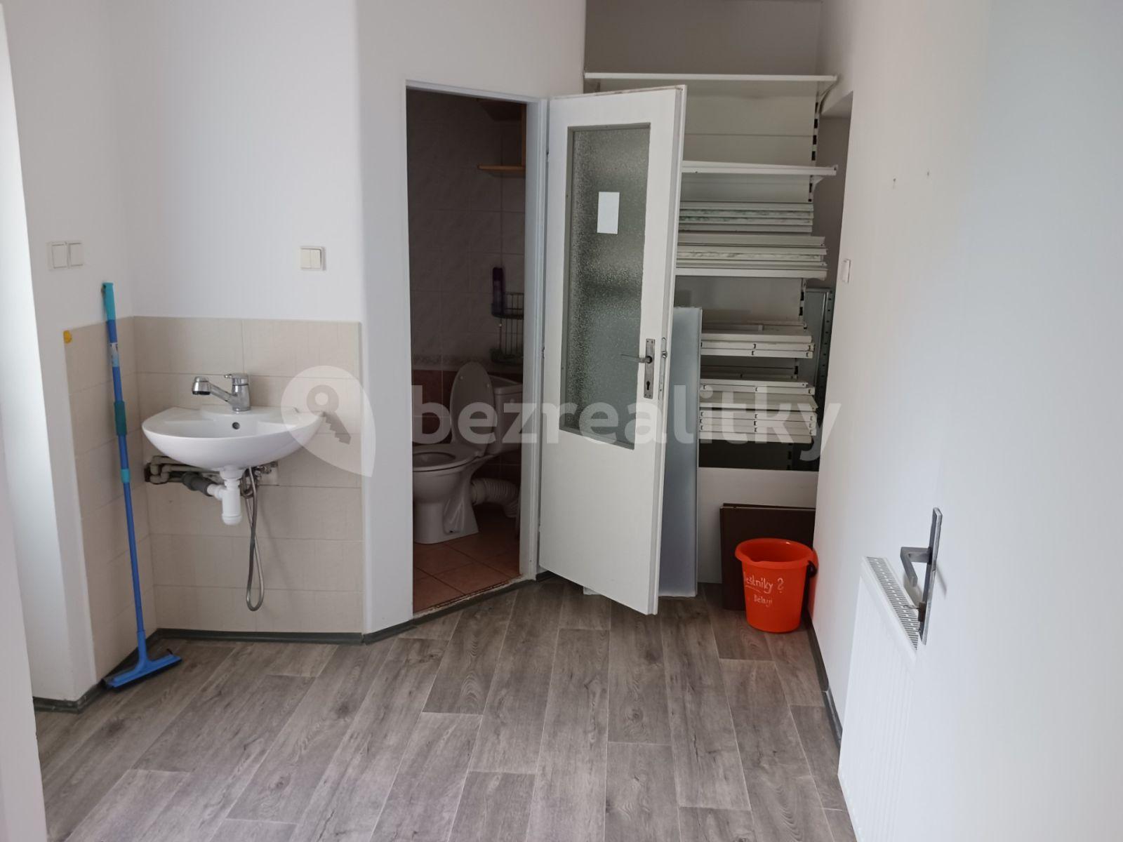 Prenájom nebytového priestoru 125 m², Bohosudovská, Krupka, Ústecký kraj