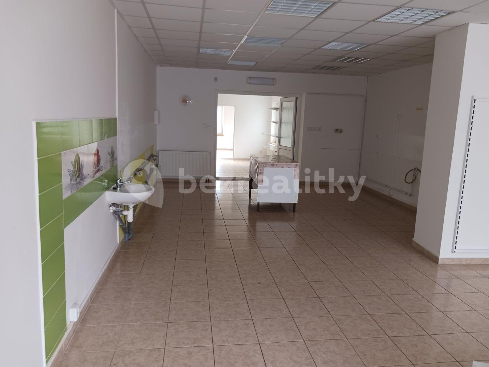 Prenájom nebytového priestoru 125 m², Bohosudovská, Krupka, Ústecký kraj