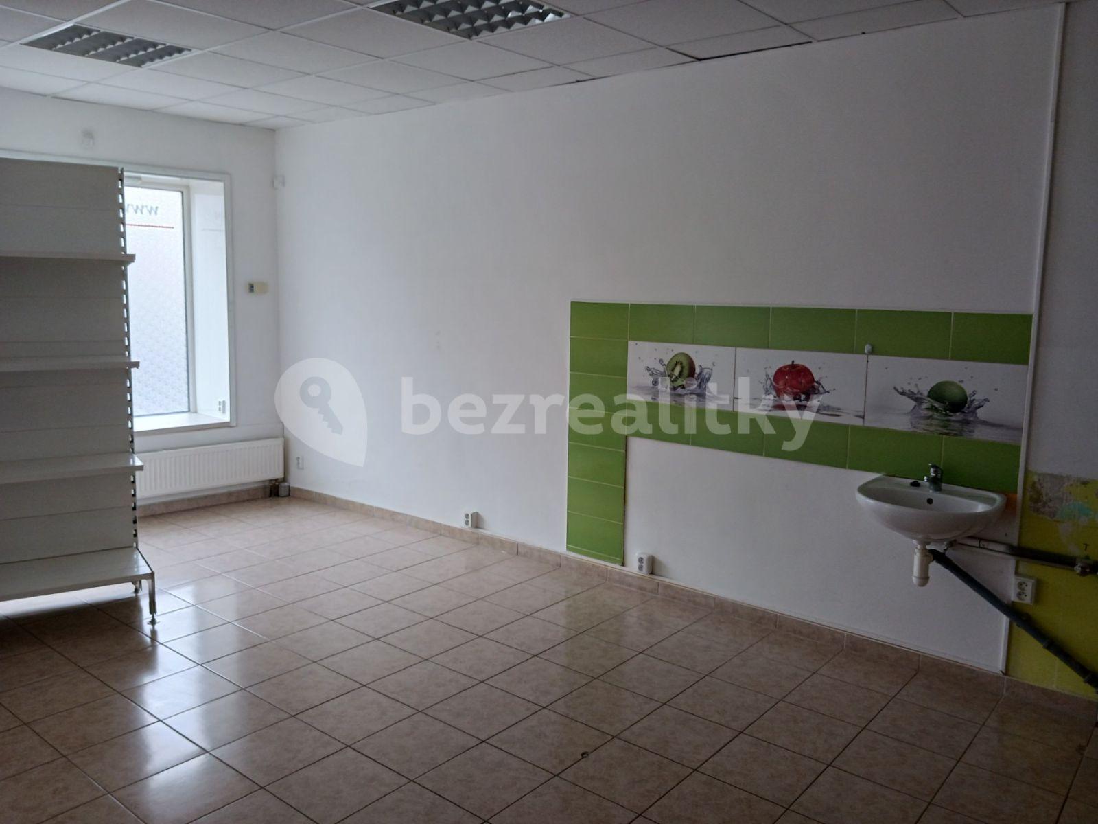 Prenájom nebytového priestoru 125 m², Bohosudovská, Krupka, Ústecký kraj