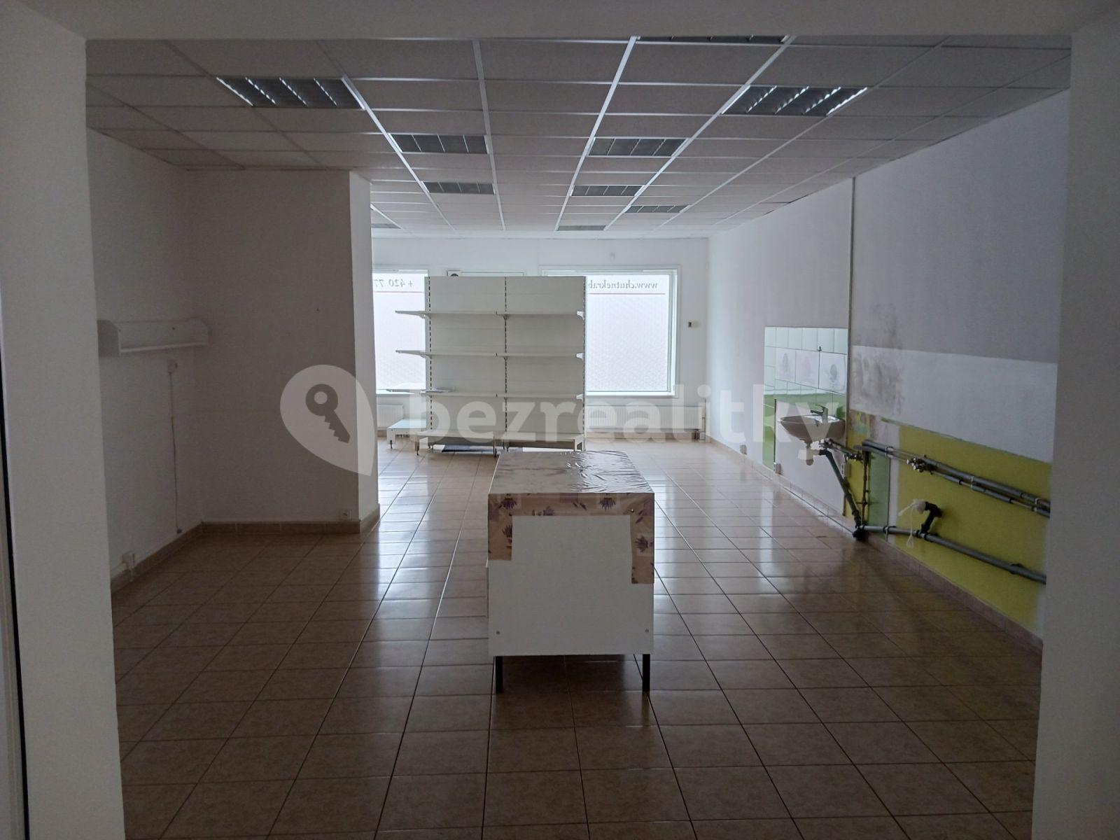 Prenájom nebytového priestoru 125 m², Bohosudovská, Krupka, Ústecký kraj