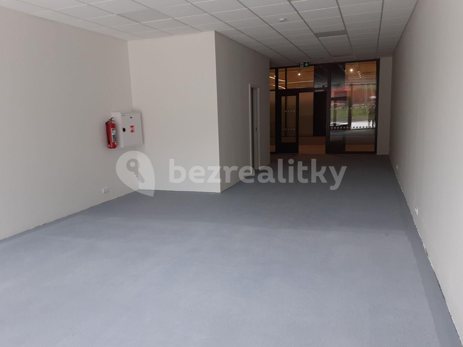 Prenájom nebytového priestoru 68 m², Kubelíkova, Praha, Praha