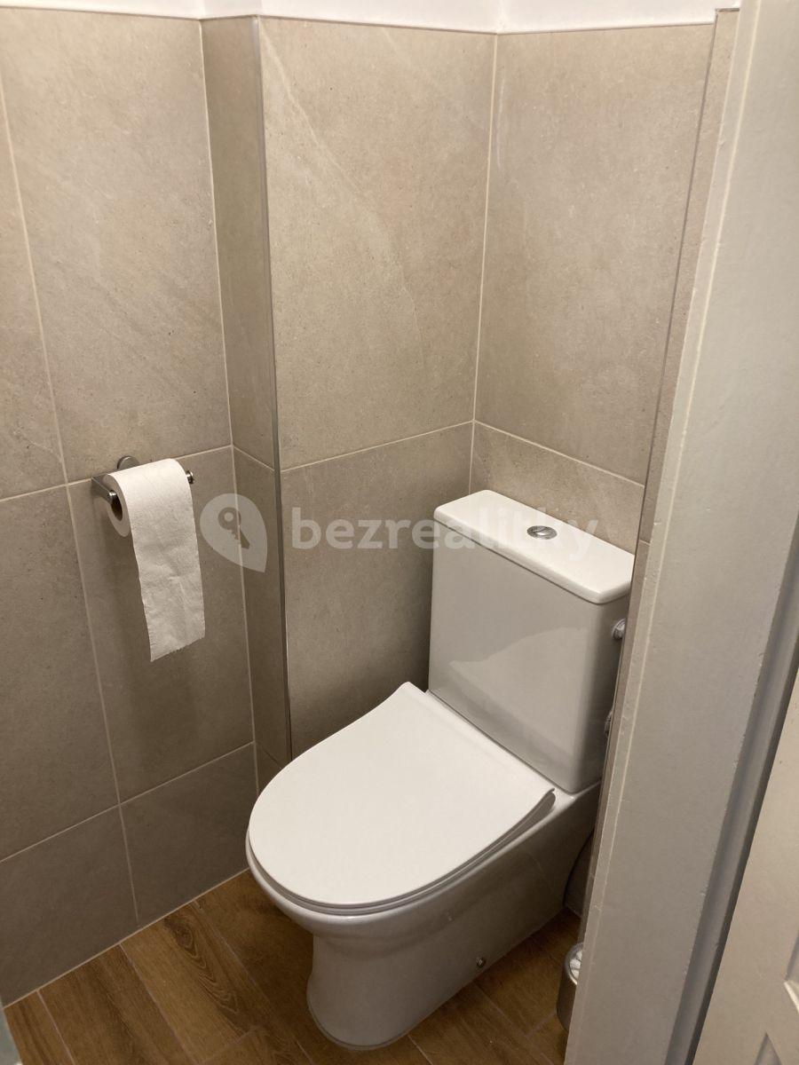 Prenájom bytu 1-izbový 43 m², Drahobejlova, Praha, Praha