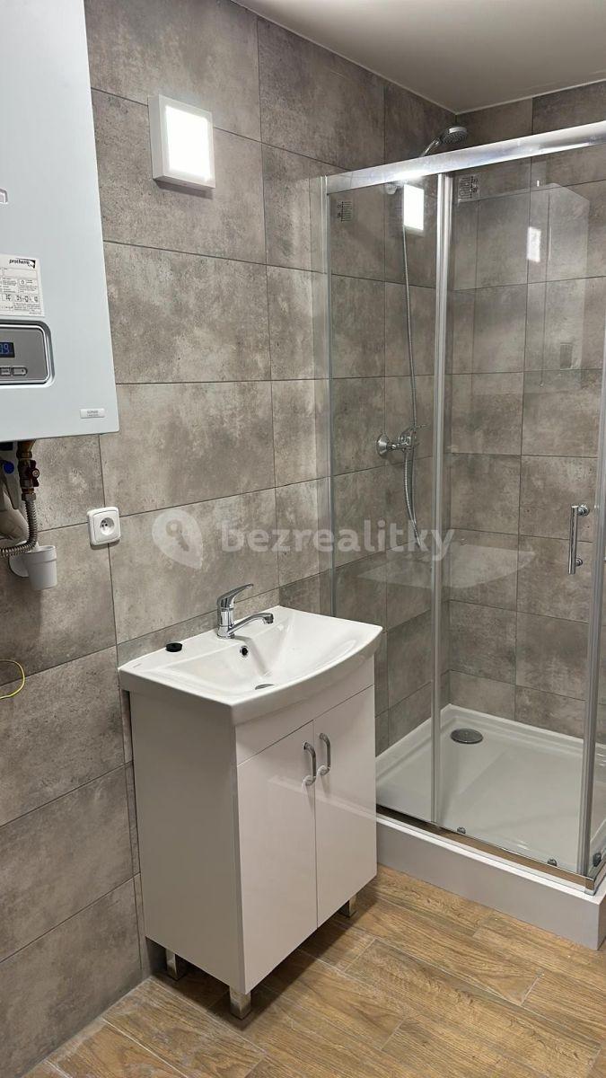 Prenájom bytu 1-izbový 45 m², 28. října, Ostrava, Moravskoslezský kraj