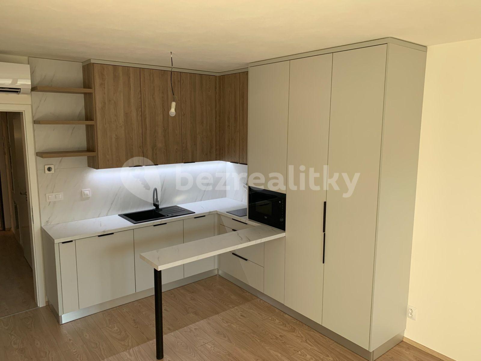 Prenájom bytu 1-izbový 32 m², Bratislavská, Brno, Jihomoravský kraj