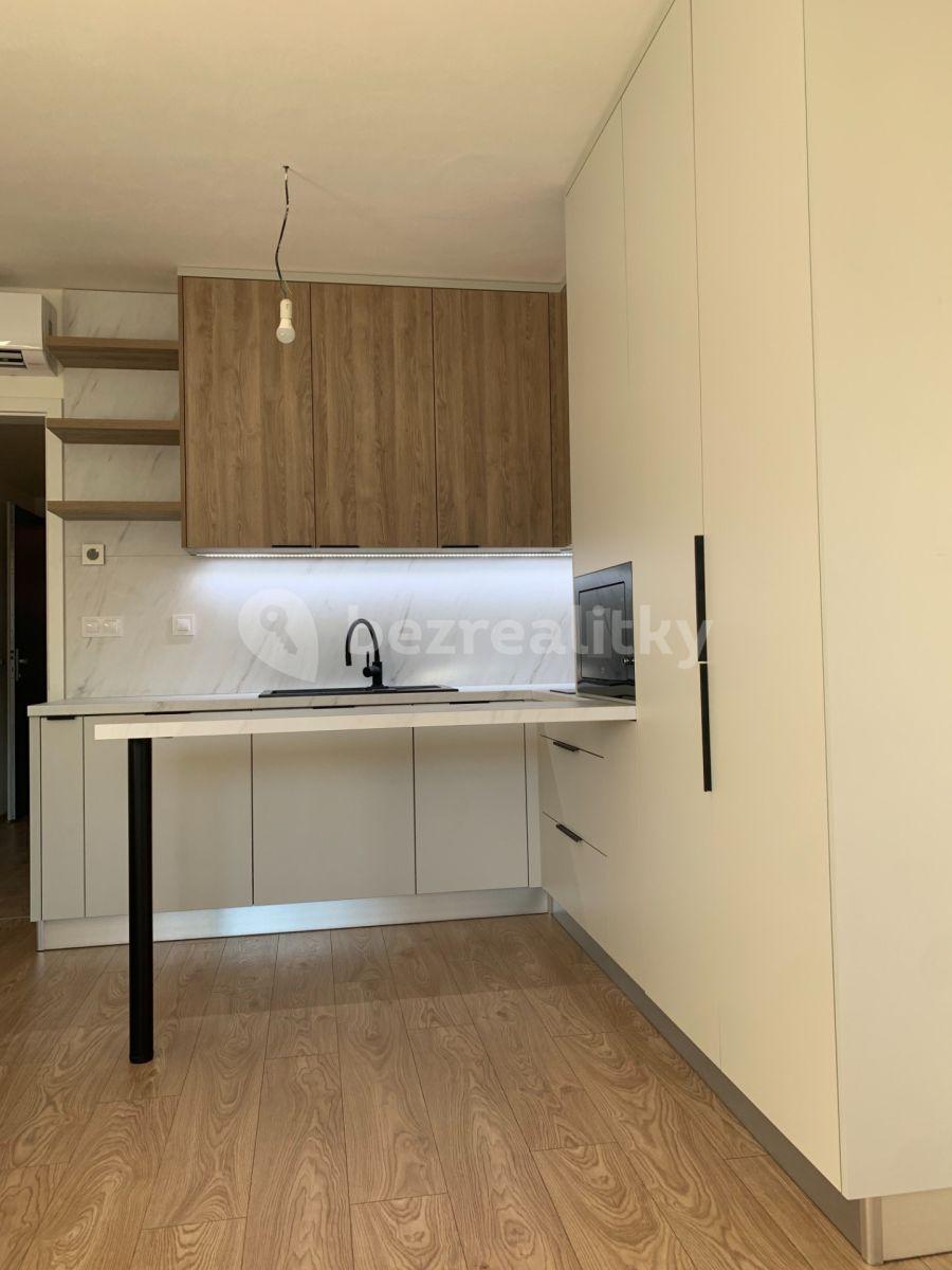 Prenájom bytu 1-izbový 32 m², Bratislavská, Brno, Jihomoravský kraj