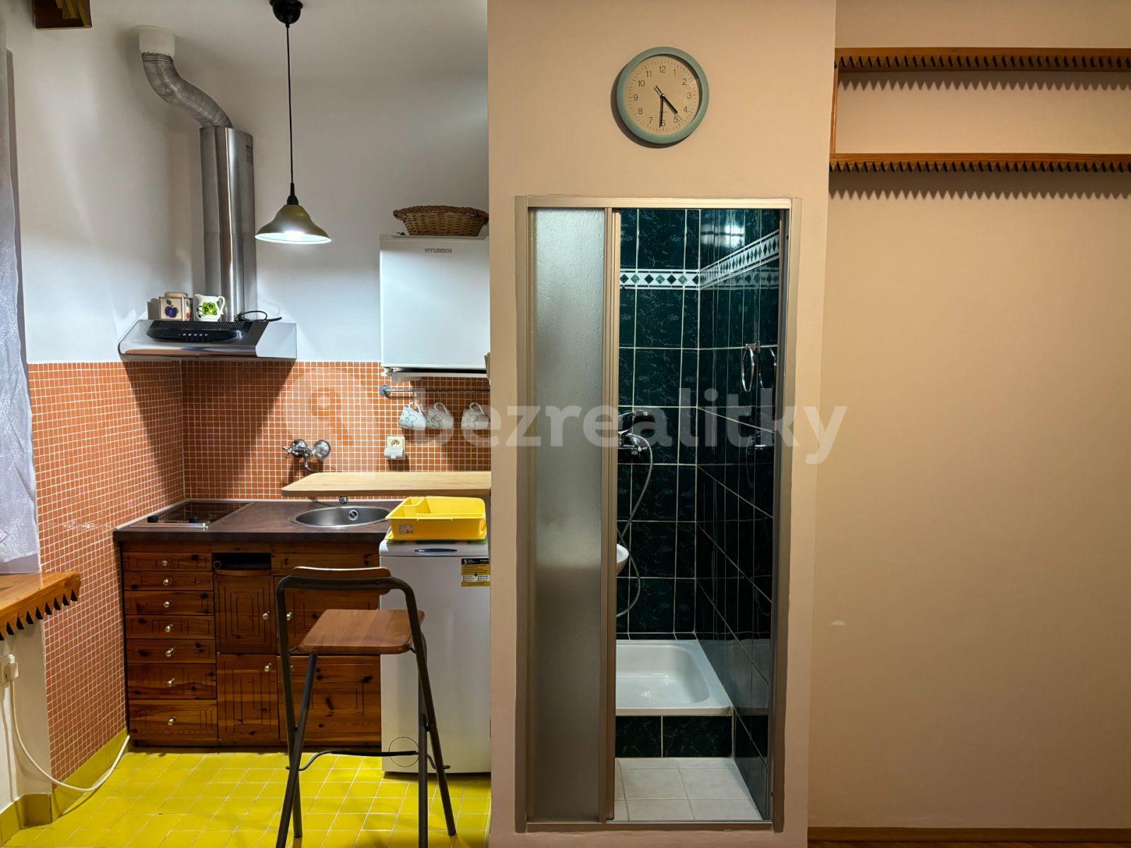 Prenájom bytu Garsoniéra 21 m², U Slavie, Praha, Praha