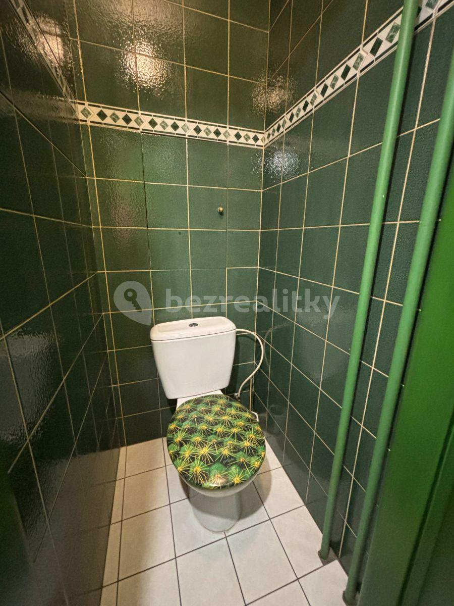 Prenájom bytu Garsoniéra 21 m², U Slavie, Praha, Praha