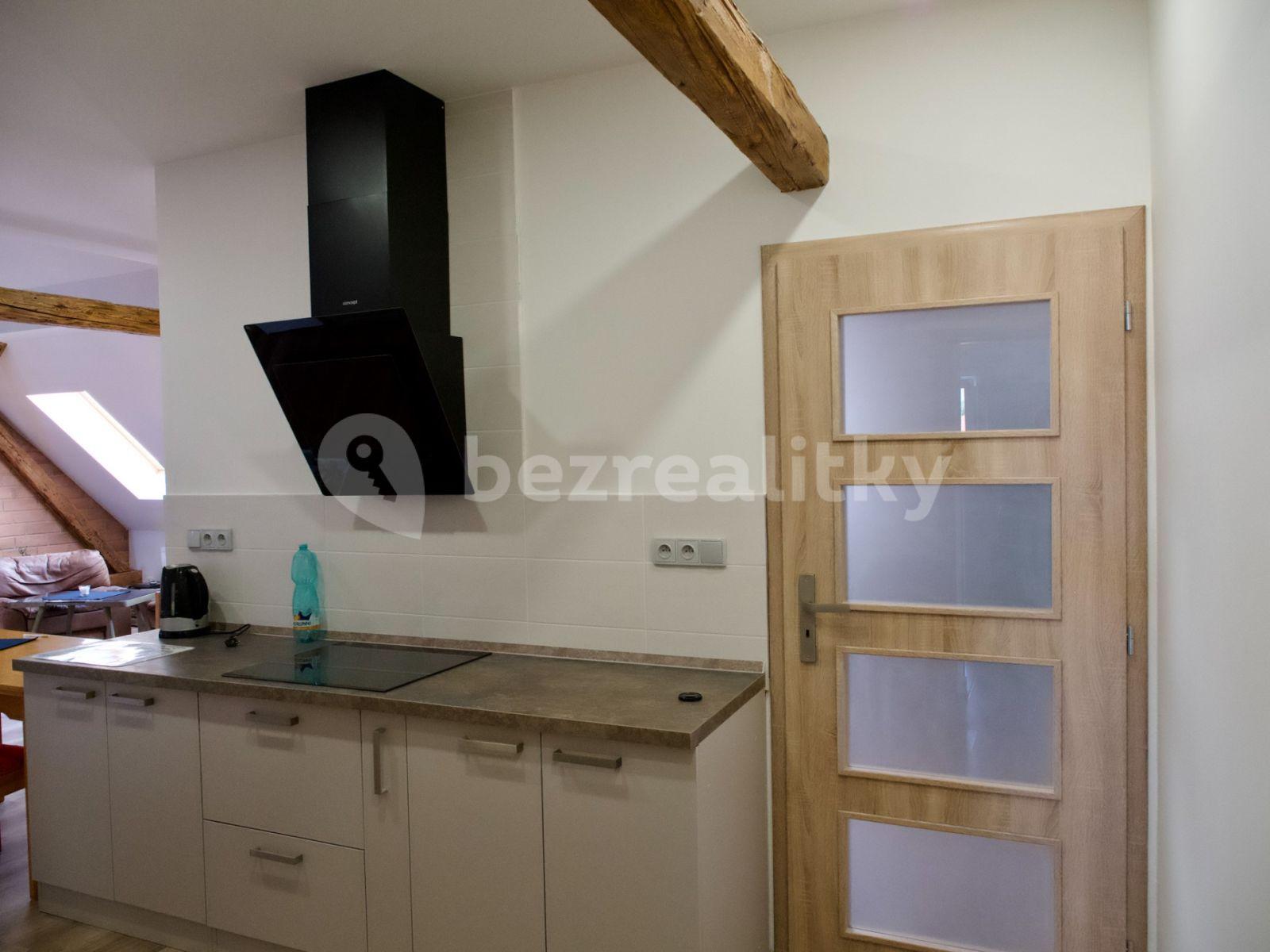 Prenájom bytu 3-izbový 80 m², Purkyňova, Brno, Jihomoravský kraj