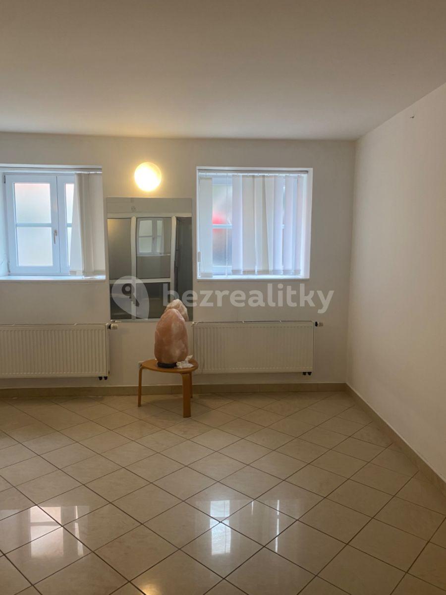 Prenájom nebytového priestoru 133 m², Pod Dvorem, Praha, Praha