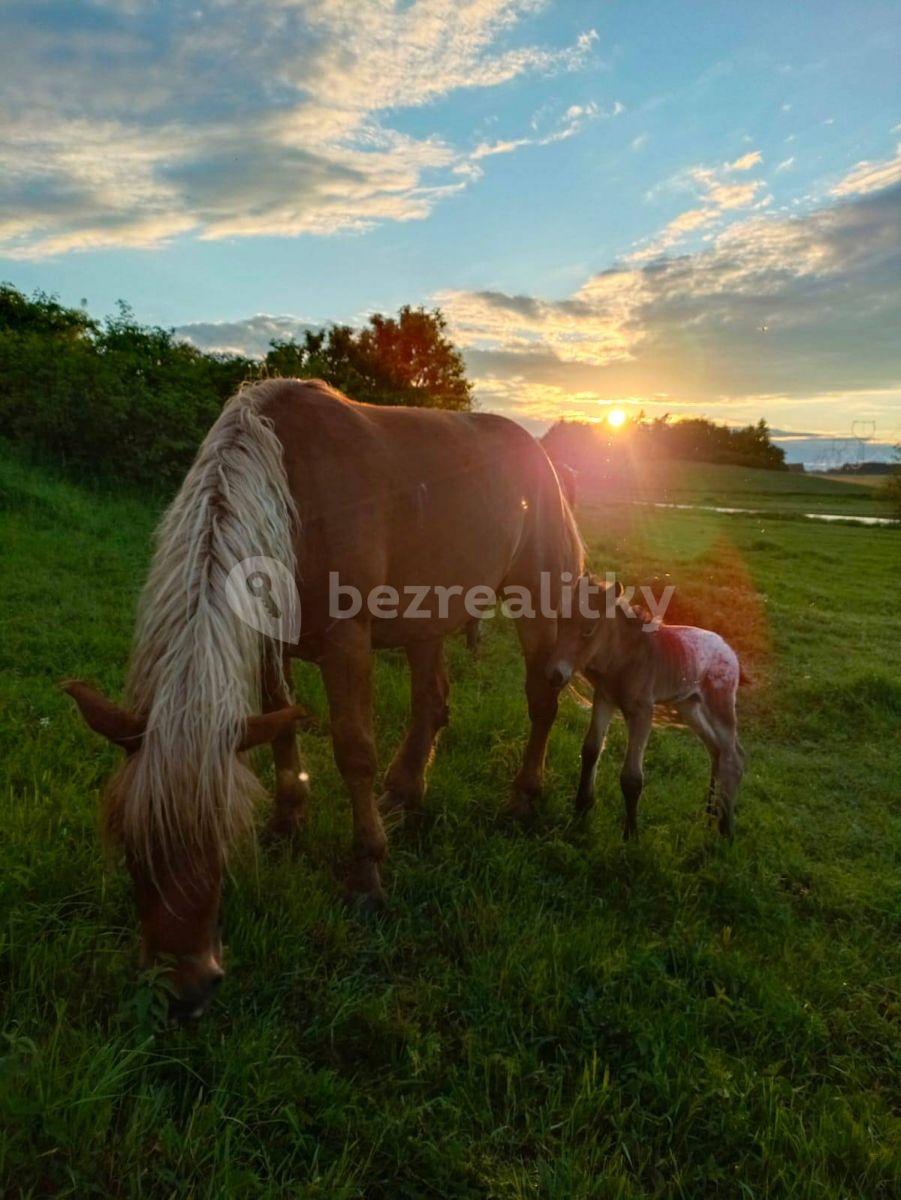 Prenájom rekreačného objektu, Staré Sedlo, Plzeňský kraj