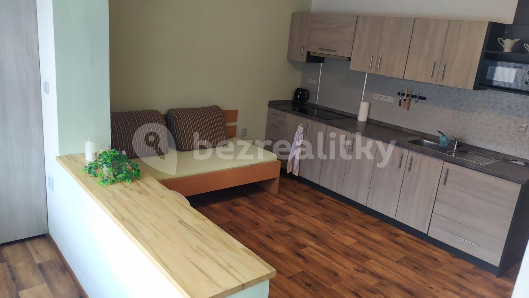 Prenájom bytu 1-izbový 32 m², Netušilova, Prostějov, Olomoucký kraj