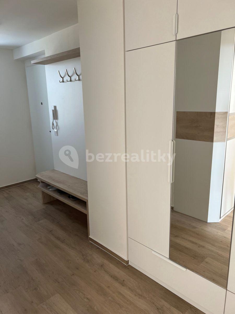 Prenájom bytu 2-izbový 60 m², Sokolova, Brno, Jihomoravský kraj