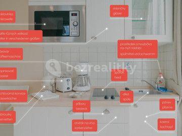 Prenájom bytu 1-izbový 20 m², Nuselská, Praha, Praha