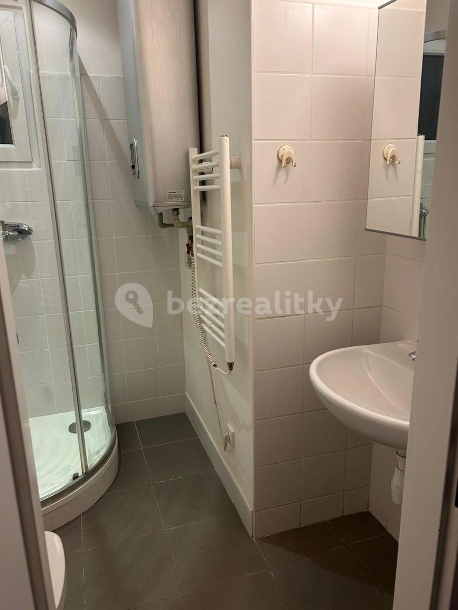 Prenájom bytu Garsoniéra 27 m², Na Úlehli, Praha, Praha