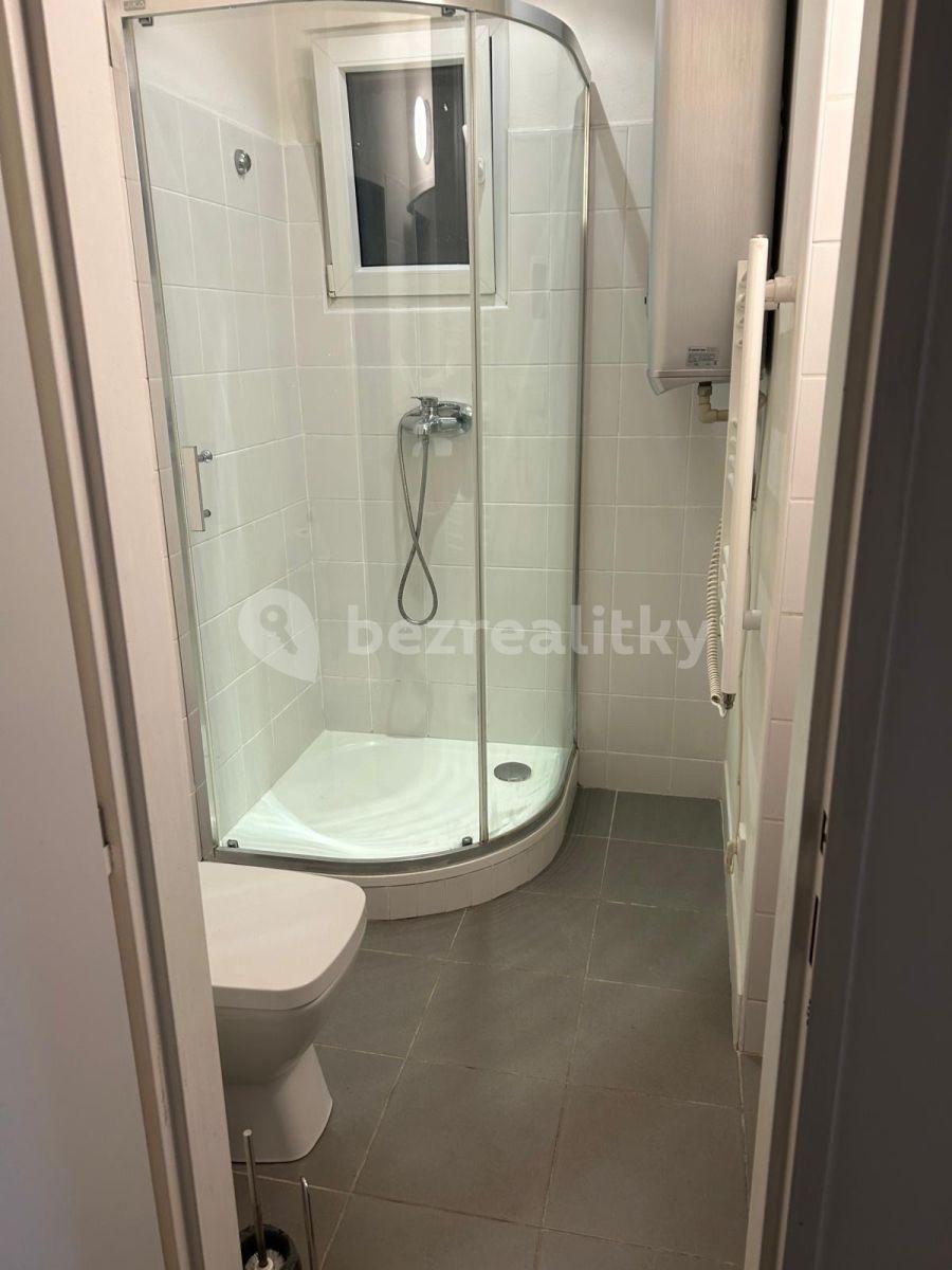 Prenájom bytu Garsoniéra 27 m², Na Úlehli, Praha, Praha