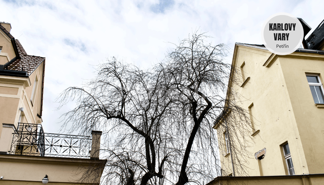 Prenájom bytu 2-izbový 45 m², Petřín, Karlovy Vary, Karlovarský kraj