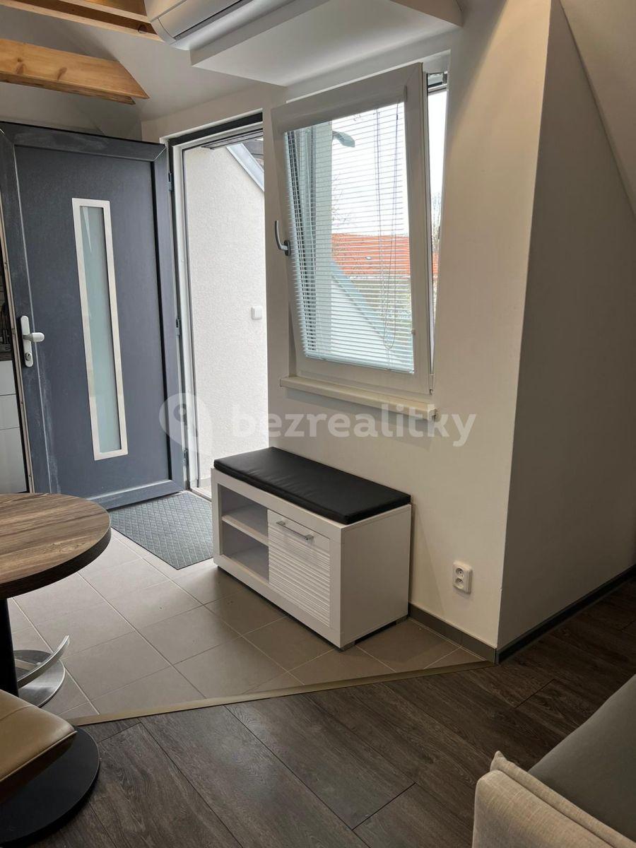 Prenájom bytu 1-izbový 45 m², U Svodnice, Praha, Praha