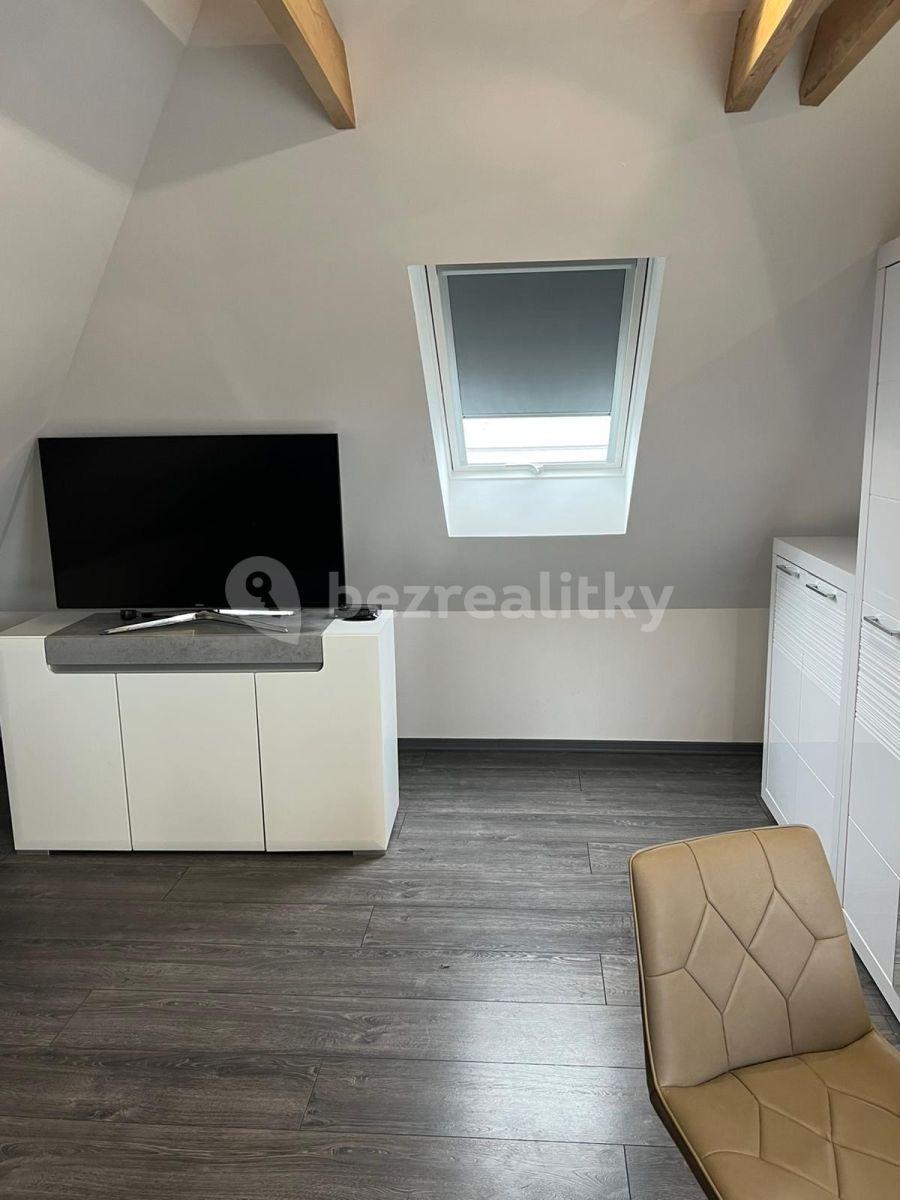 Prenájom bytu 1-izbový 45 m², U Svodnice, Praha, Praha