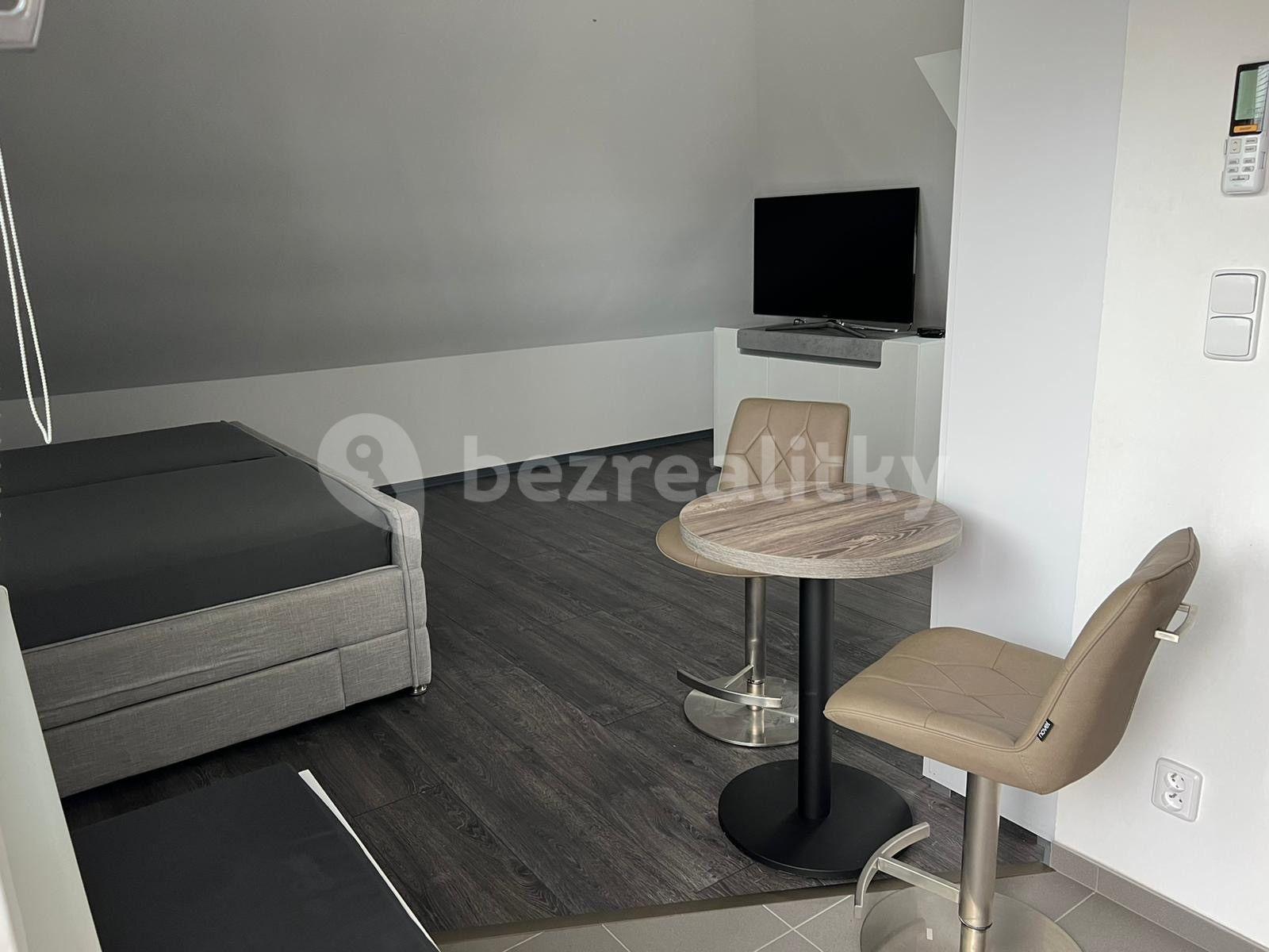 Prenájom bytu 1-izbový 45 m², U Svodnice, Praha, Praha