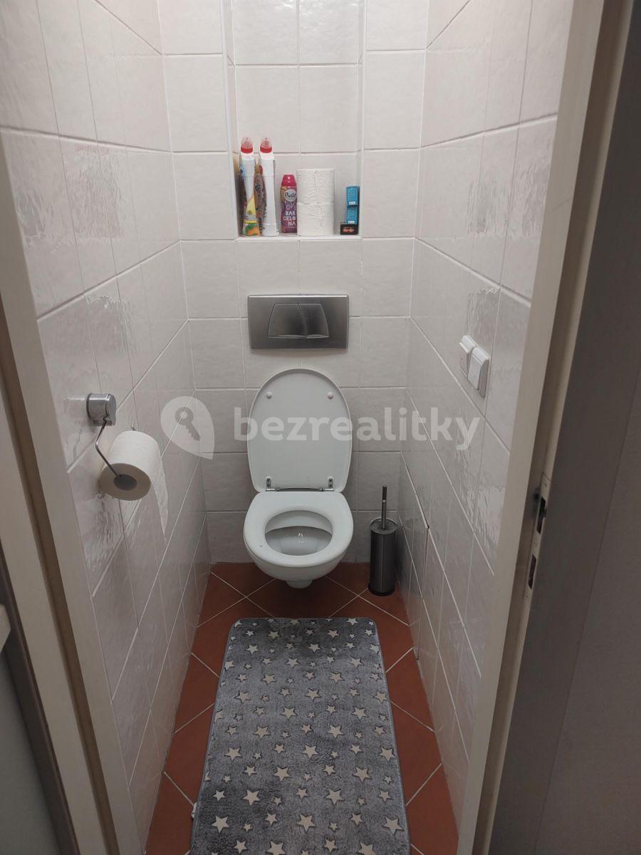 Prenájom bytu 2-izbový 70 m², Červinkova, Brno, Jihomoravský kraj