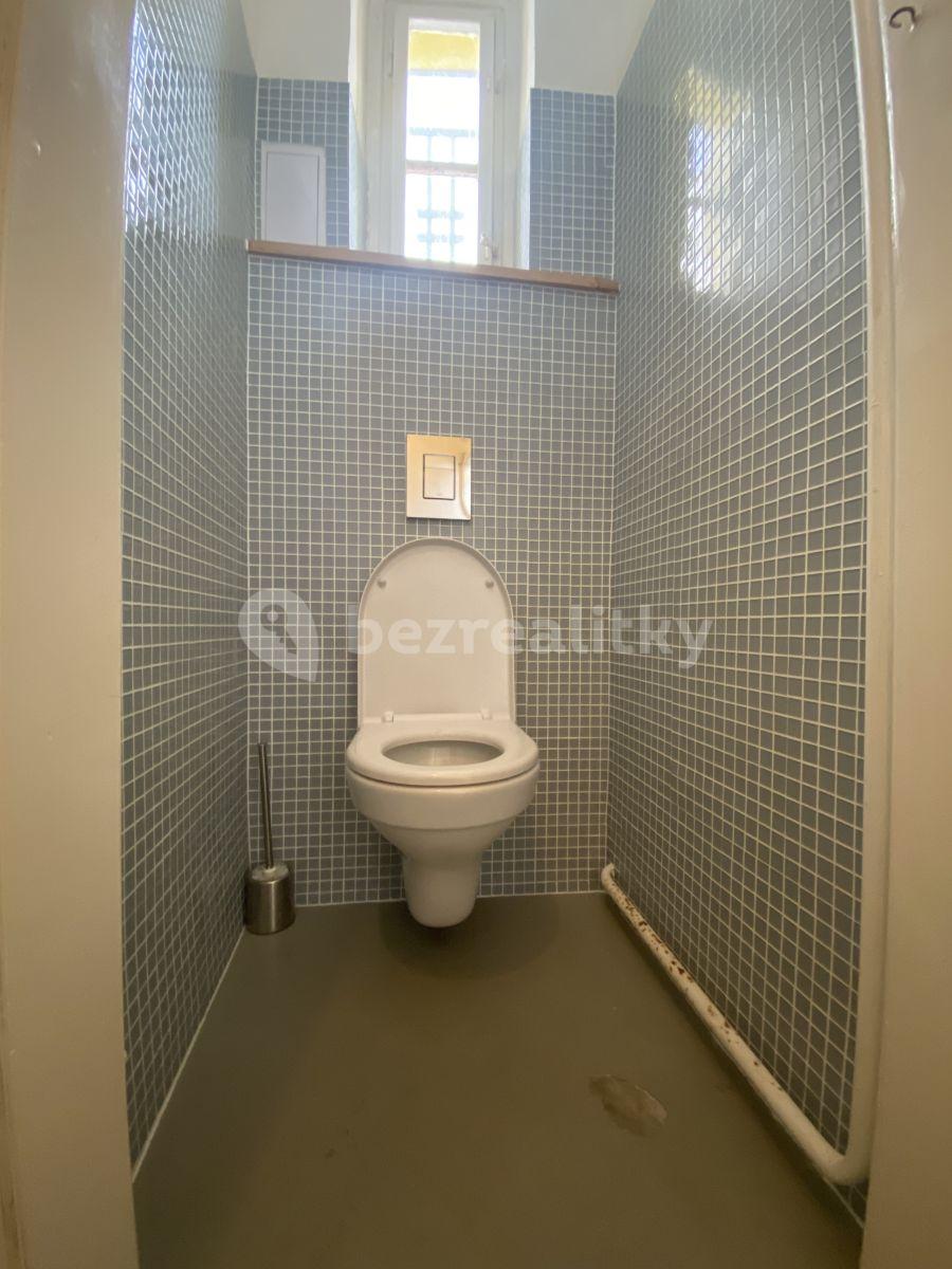 Prenájom bytu 1-izbový 45 m², Holandská, Praha, Praha