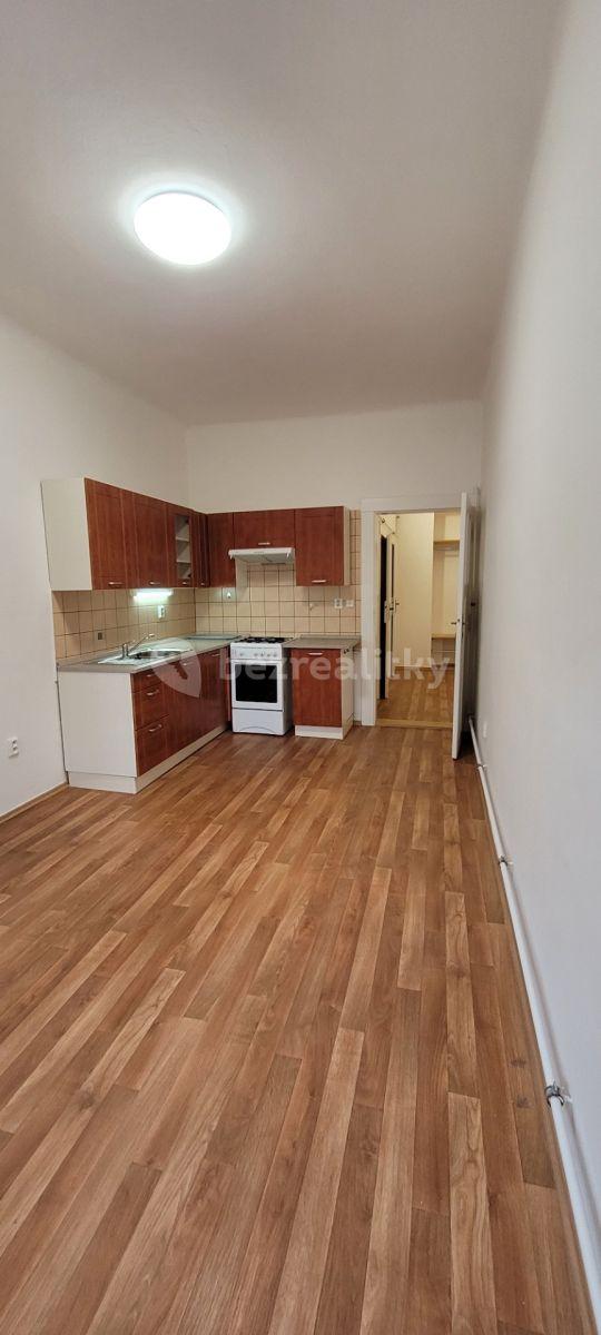 Prenájom bytu 1-izbový 50 m², Horní, Praha, Praha