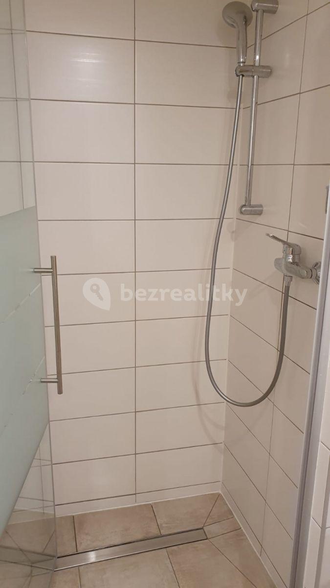 Prenájom bytu 3-izbový 46 m², Opatovická, Praha, Praha