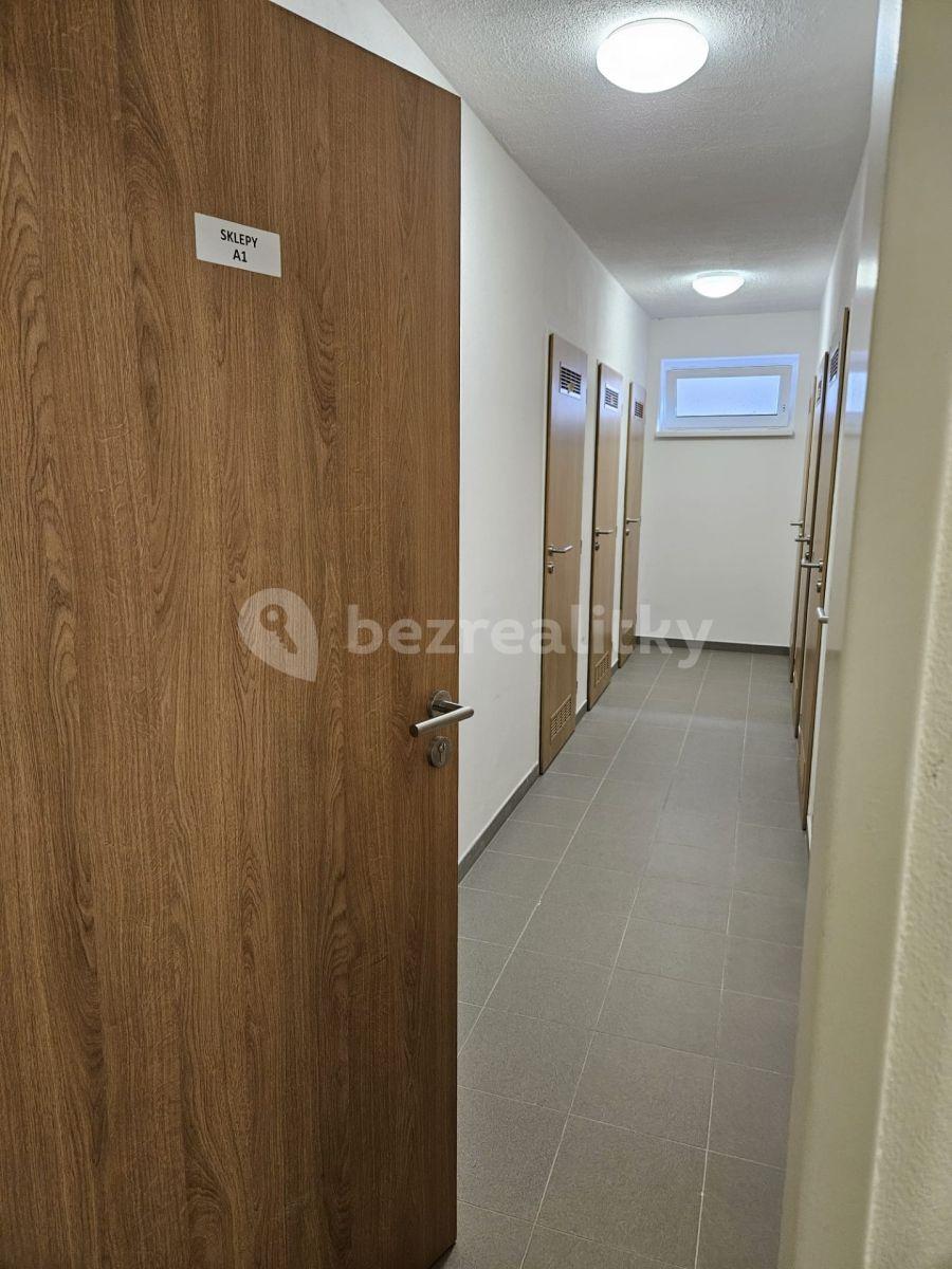 Prenájom bytu 2-izbový 49 m², Hlinecká, Brno, Jihomoravský kraj