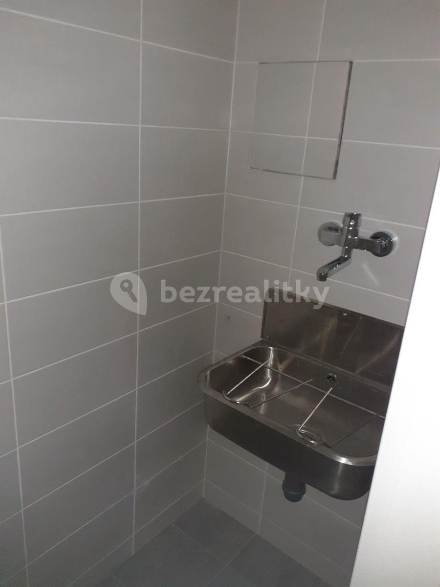 Prenájom nebytového priestoru 54 m², Kubelíkova, Praha, Praha