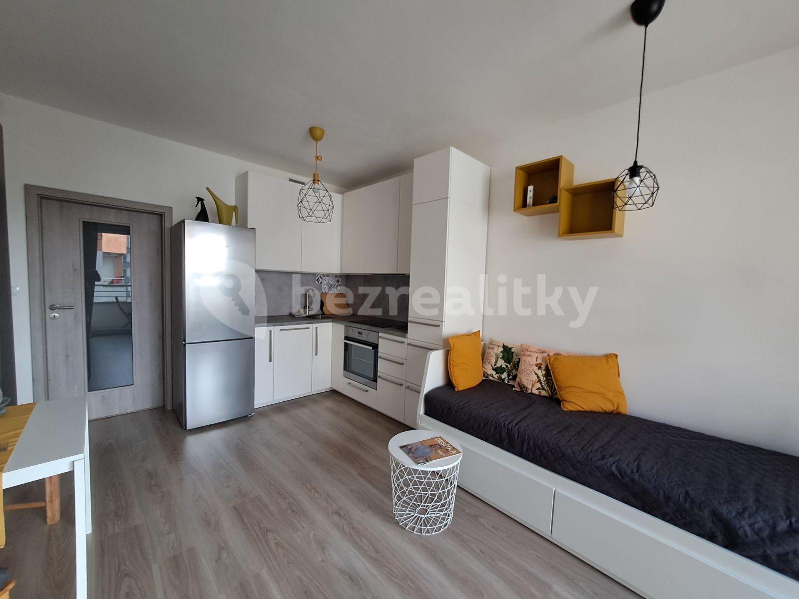 Prenájom bytu 1-izbový 30 m², Petrohradská, Praha, Praha